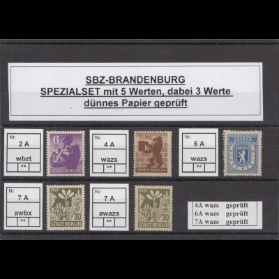 SBZ 1945 Kleines Lot postfrisch (213214)