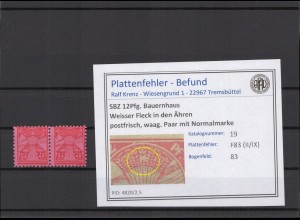 SBZ 1945 PLATTENFEHLER Nr 19 II/IX postfrisch (231389)